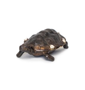 Turtle Box Brass in Pearl
