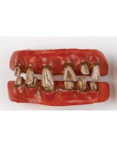 Character Teeth Pirate Halloween