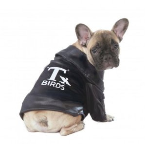 T-Birds Jacket Pet Costume Size S