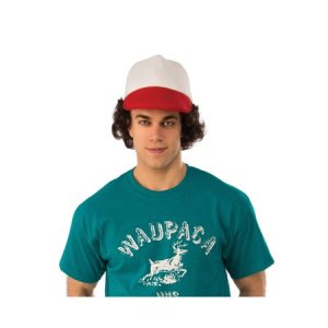 Dustins Adult Wig