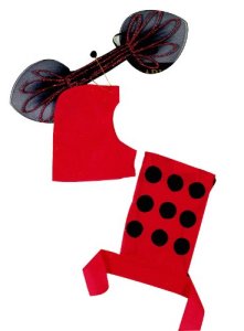 Ladybug Accessory Kit 14+
