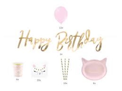 BOX Happy Birthday KITTY PARTY SET 55 Pieces