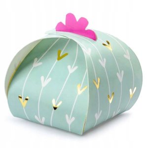 Llama party Collection Cactus Gift BOX 10 Pc