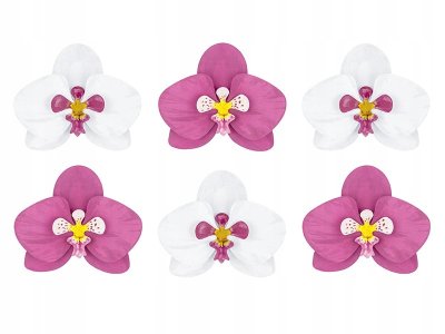 Aloha Party Collection Paper Decorations 6pc