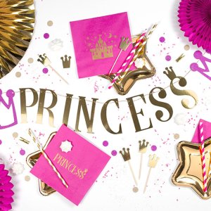 Princess Party Collection Banner Princess 1pc