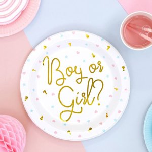 Gender Reveal Party Collection Plates Boy Or Girl,6pc