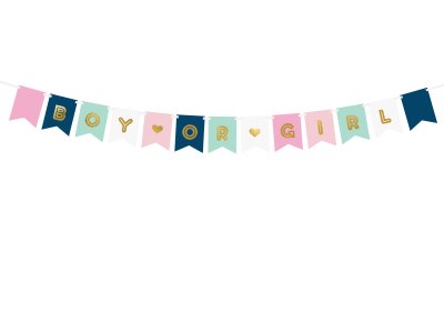 Banner Boy Or Girl, Mix 1pc