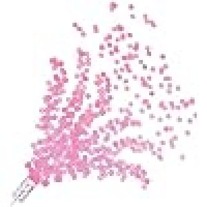 Gender Reveal Push Up Confetti Poppers pink 8pc