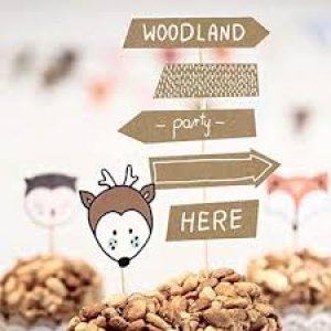 Woodland Party Collection Topper Woodland - Signpost, 1pc