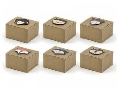 Woodland Party Collection Woodland Boxes, Mix, 6Pc