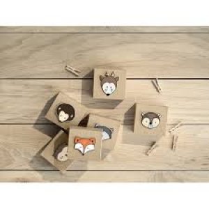 Woodland Party Collection Woodland Boxes, Mix, 6Pc