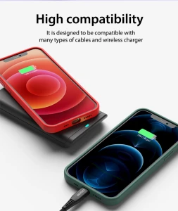 Araree Typo Skin Case For iPhone 12 Pro Max - Pine Green